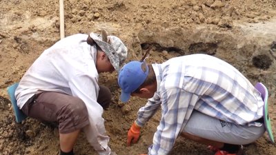 Сподіваються знайти поховання скіфів. На Луганщині тривають розкопки стародавнього кургану Сподіваються знайти поховання скіфів. На Луганщині тривають розкопки стародавнього кургану