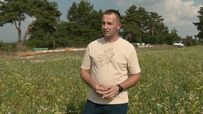 Волинський пасічник тримає на засіяних сидератами полях 140 бджолиних сімей. Як це впливає на врожай аграріїв Волинський пасічник тримає на засіяних сидератами полях 140 бджолиних сімей. Як це впливає на врожай аграріїв