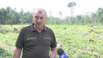 У лісництві на Житомирщині почали розчищати ділянки лісу, пошкоджені смерчем