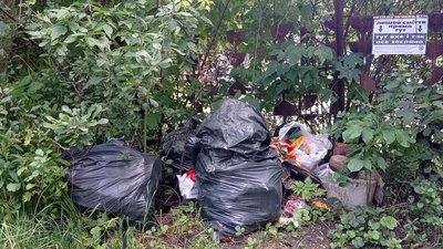 "Прибираємо, тому що це наша земля". Харків'яни взялися чистити засмічений Жихорець "Прибираємо, тому що це наша земля". Харків'яни взялися чистити засмічений Жихорець