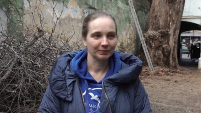 В Одесі почали лікувати "найтовщу тополю України" В Одесі почали лікувати "найтовщу тополю України"