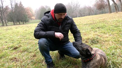 Небезпечні породи собак та неприбрані екскременти: що у Рівному кажуть про зоозахисний закон Небезпечні породи собак та неприбрані екскременти: що у Рівному кажуть про зоозахисний закон