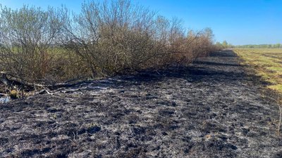 На Черкащині за добу згоріло 11 гектарів сухої трави та очерету На Черкащині за добу згоріло 11 гектарів сухої трави та очерету