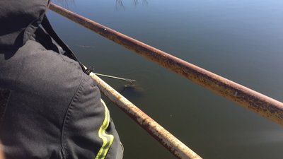 У Кіровоградській області рятувальники витягли з річки тіло чоловіка