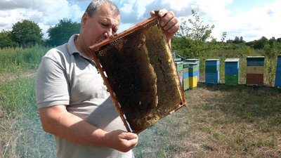 Пасічник Микола Хомич