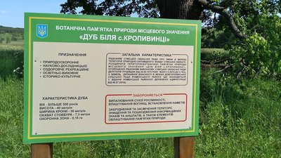 На Сумщині буде створено природньо-заповідний фонд "Дуб біля села Кропивинці" На Сумщині буде створено природньо-заповідний фонд "Дуб біля села Кропивинці"