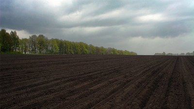 "Окупанти намагаються влаштувати голодомор", — міський голова Мелітополя