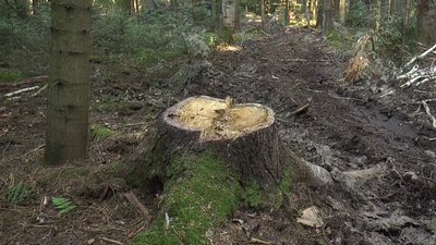 марафоннннн екологія марафоннннн екологія