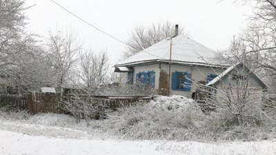 В одному з районів Черкащини — нашестя лисиць В одному з районів Черкащини — нашестя лисиць