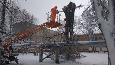 В Одесі через снігопад повалені майже 60 дерев
