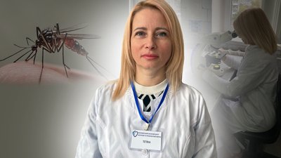 житомир, комахи, комарі, мошка, укус, лікар, рекомендації, 3 липня 2026 року