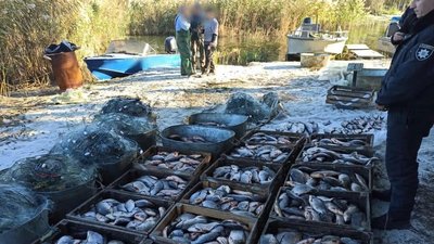 Понад 700 кг риби наловили браконьєри у Нацпарку "Нижньодніпровський" на Херсонщині Понад 700 кг риби наловили браконьєри у Нацпарку "Нижньодніпровський" на Херсонщині
