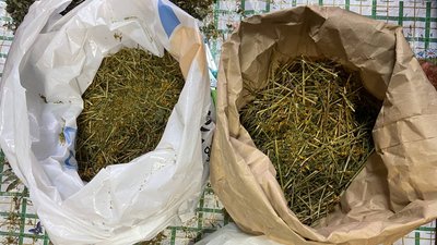 У Полтаві для військових виготовляють чаї із сушених трав і ягід: які компоненти додають