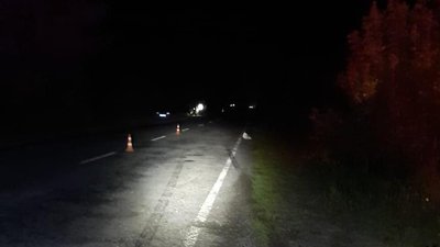 У аварії на Волині загинув пішохів У аварії на Волині загинув пішохів