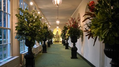 Меланія Трамп прикрасила Білий дім до Різдва. Вашингтон, 30 листопада 2020 року Меланія Трамп прикрасила Білий дім до Різдва. Вашингтон, 30 листопада 2020 року