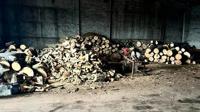 На Кіровоградщині судитимуть п’ятьох чоловіків, які вирубали посадку на понад мільйон гривень На Кіровоградщині судитимуть п’ятьох чоловіків, які вирубали посадку на понад мільйон гривень