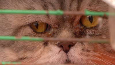 Зустрічали родичів та близьких: до Одеси прибув евакуаційних потяг зі Слов’янську Зустрічали родичів та близьких: до Одеси прибув евакуаційних потяг зі Слов’янську