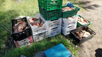 браконьєри браконьєри