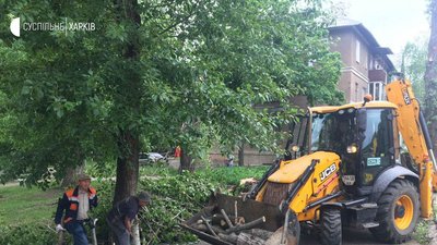 У Харкові впало 10 дерев. Одне звалилось на перехожих