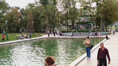 У Харкові лебеді із саду Шевченка та парку Горького влаштували бійку У Харкові лебеді із саду Шевченка та парку Горького влаштували бійку