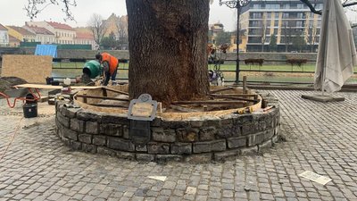 В Ужгороді ремонтують лавиці на площі Фенцика і біля ясена Масарика В Ужгороді ремонтують лавиці на площі Фенцика і біля ясена Масарика