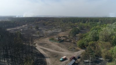 Згорілі ліси на Харківщині будуть відновлюватися 80 років. СУСПІЛЬНЕ | ВІДЕОНОВИНИ