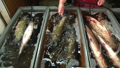 На ринках Житомира риби з Херсону не має На ринках Житомира риби з Херсону не має
