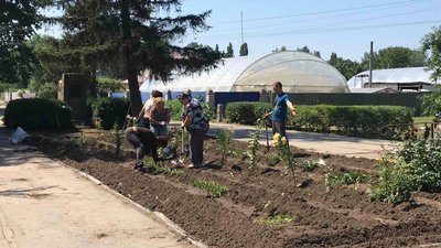 "Хочемо бути квітучою громадою". На Херсонщині ОТГ засаджує села квітами