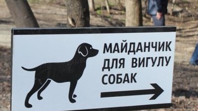 Чернігівцям пропонують обрати місця для вигулу собак
