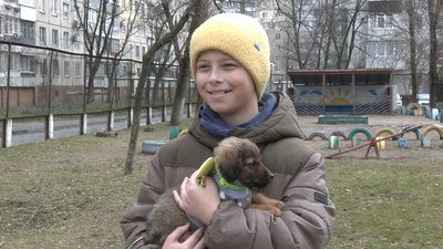 "Якщо не допомагати – вони помруть". Діти з однієї зі шкіл Дніпра зібрали допомогу для тварин "Якщо не допомагати – вони помруть". Діти з однієї зі шкіл Дніпра зібрали допомогу для тварин
