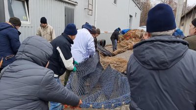 Маскувальні сітки Хмельницький Маскувальні сітки Хмельницький