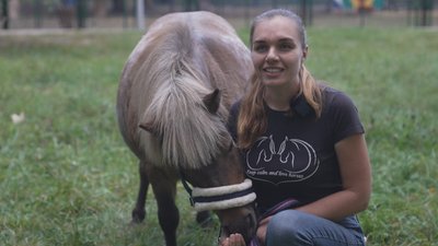 Поні, зоокуток, тварини, міжнародний сертифікат, тернопільський парк, 1 жовтня 2026 року