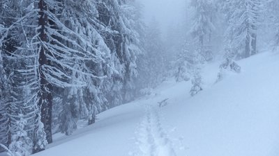 У Криму оголосили штормове попередження на 16-19 січня