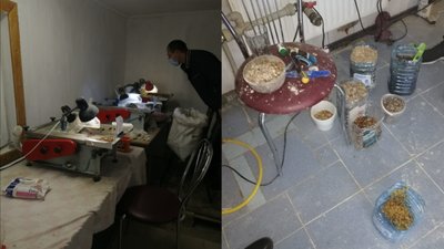 У жителя Рівненщини вдруге за чотири місяці вилучили десятки кілограмів бурштину У жителя Рівненщини вдруге за чотири місяці вилучили десятки кілограмів бурштину