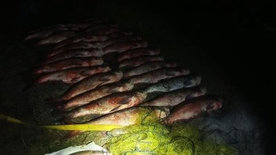 250 кілограмів риби, незаконний вилов, ловити рибу сіткою, тернопіль