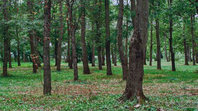 На Кіровоградщині прогнозують прохолодні й дощові вихідні