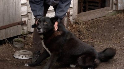 З села на Новгород-Сіверщині через військові дії виїхало близько 80% населення: історії переселенців З села на Новгород-Сіверщині через військові дії виїхало близько 80% населення: історії переселенців