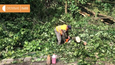 Повалені дерева та знеструмлені населені пункти: наслідки негоди на Львівщині Повалені дерева та знеструмлені населені пункти: наслідки негоди на Львівщині
