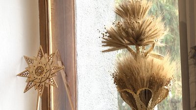 На Різдво вихованці житомирської школи колядок співатимуть на вулиці Михайлівській На Різдво вихованці житомирської школи колядок співатимуть на вулиці Михайлівській