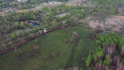 Заказник "Торфовище Білогорща"