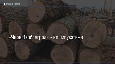 Комунальне підприємство «Чернігівоблагроліс» не перейде на електронний облік деревини