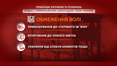 Графіка: приклади злочинів, за які можуть притягнути до обмеження волі Графіка: приклади злочинів, за які можуть притягнути до обмеження волі