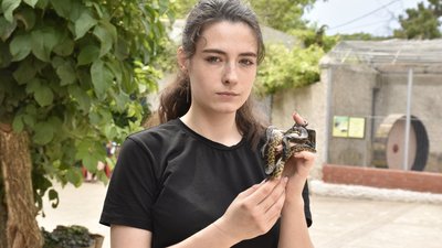 В Одеському зоопарку народилися троє дитинчат парагвайської анаконди