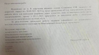Обрізка дерев у Миколаєві: хто здійснює роботи та наскільки вони законні Обрізка дерев у Миколаєві: хто здійснює роботи та наскільки вони законні