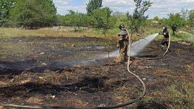 На Одещині горіло понад 4 гектари сухої трави