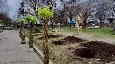 На Кіровоградщині висадили алею декоративних верб з плетеним стовбуром