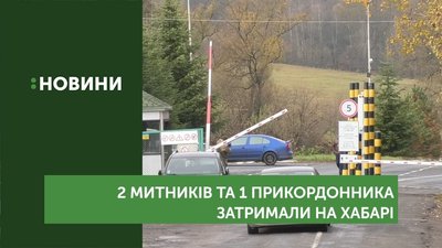 На Закарпатті двох митників та прикордонника затримали на хабарі