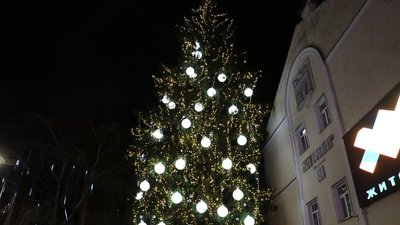 У Житомирі відкрили головну міську ялинку У Житомирі відкрили головну міську ялинку