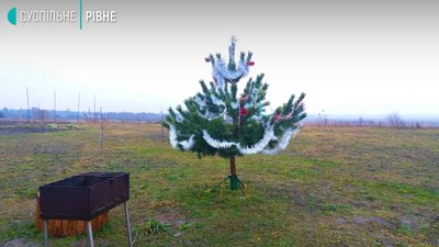 У природи свій вірус: як нам може вилізти боком тепла і безсніжна зима