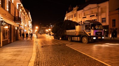 Головну ялинку Ужгорода прикрасять до 12 грудня